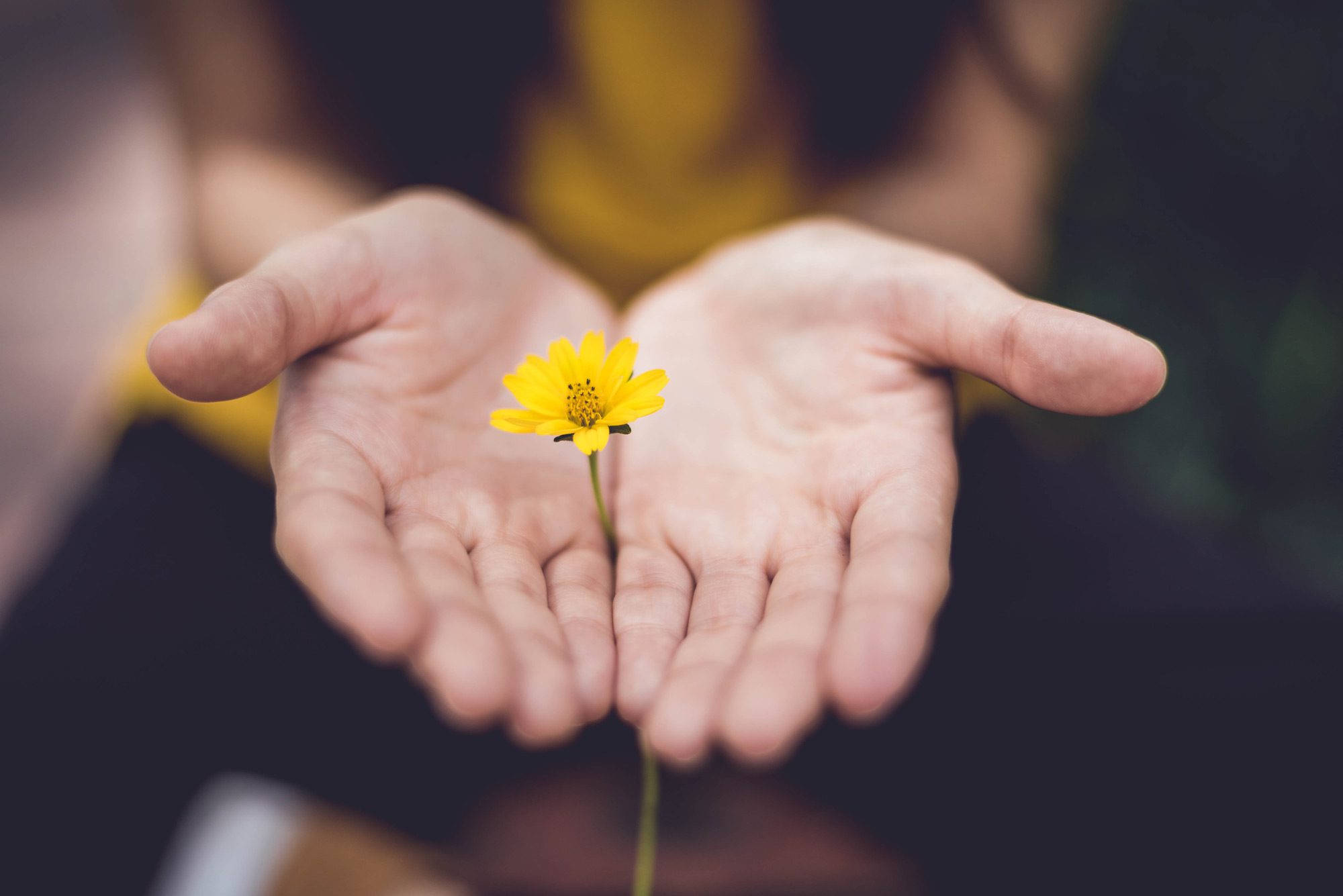 HomeBG Woman holding flower in hands.